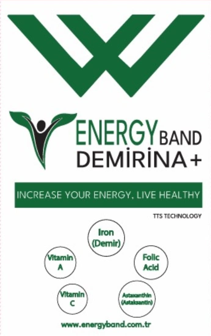 ENERGY%20DEMİRİNA+